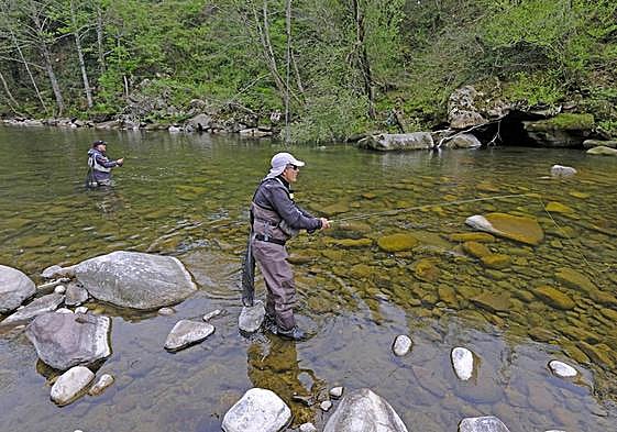 Estado en el que se encontraba este viernes por la tarde el río Saja en la zona libre de Santa Lucía.
