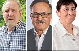 Candidatos a la alcaldía de Anievas