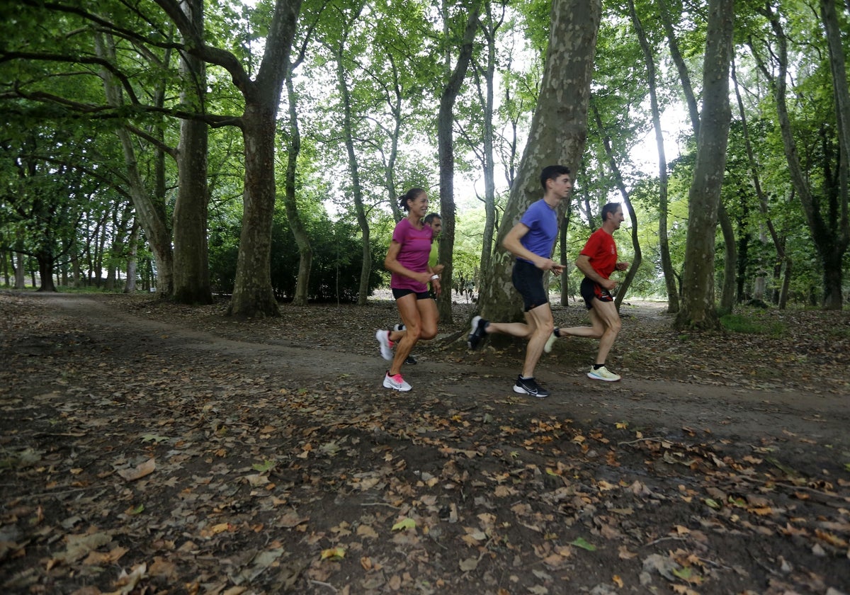 Un grupo de atletas entrena en el parque del Patatal.