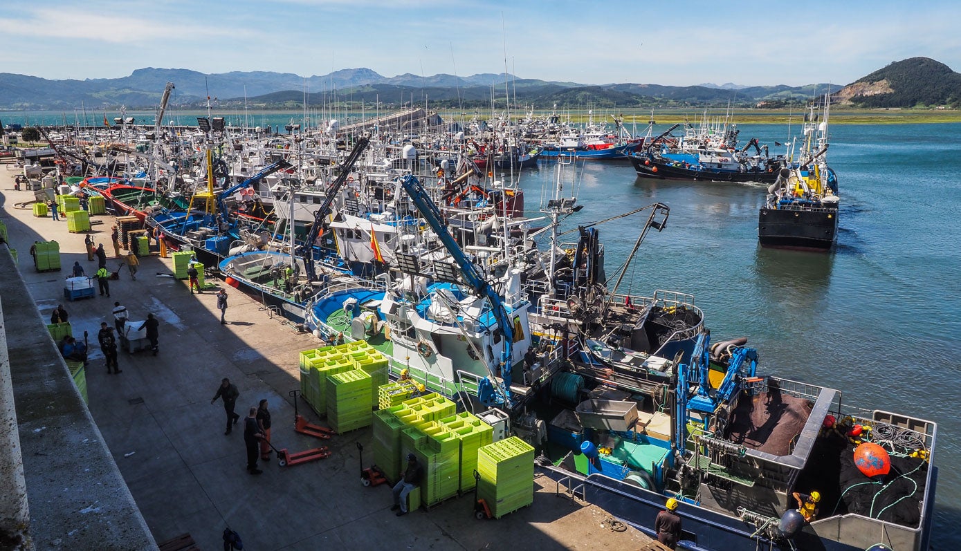 El puerto de Santoña ofrece  una estampa de postal con decenas de barcos atracados en la dársena descargando el bocarte.