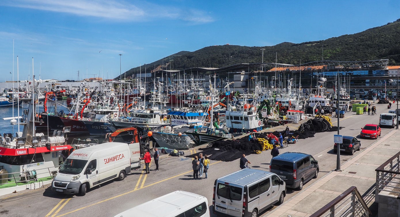 Desde lo alto del mirador del puerto, se podía divisar la continua llegada de las embarcaciones a la Cofradía de Pescadores Virgen del Puerto.