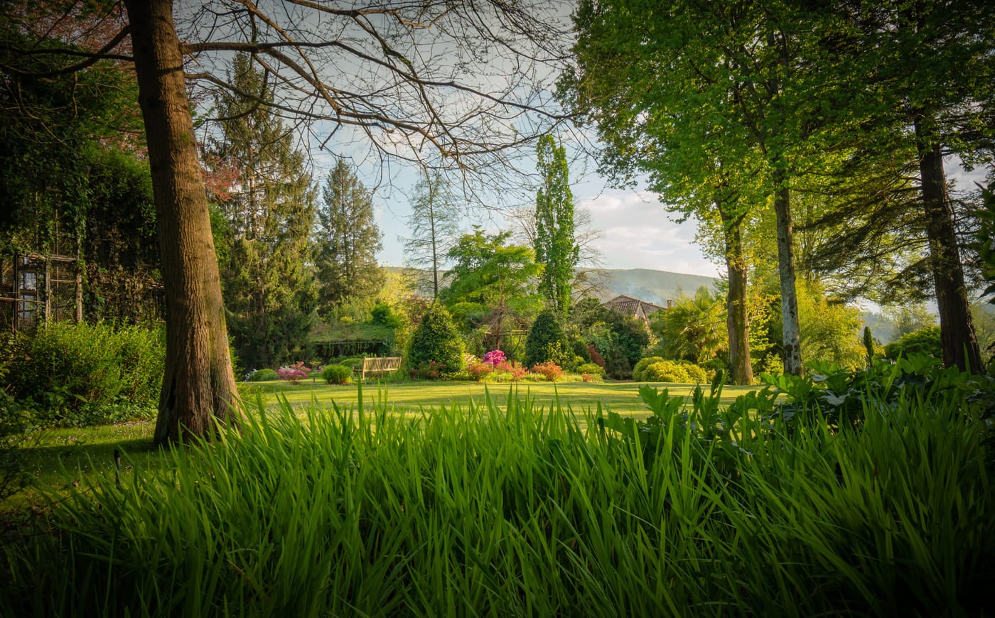 Vista del jardín.