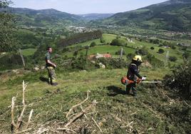 Miembros de la BRIF Ruente realizan labores de desbroce, esenciales para la prevención de incendios.