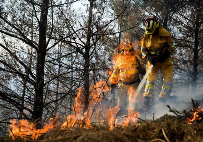 Miembros de la BRIF durante la extinción de un incendio en Vargas (imagen de archivo).