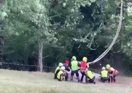 Imagen secundaria 1 - El helicóptero del Gobierno rescata por el aire a una vaca de 500 kilos que se había roto una pata