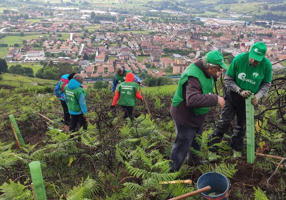 Una treintena de personas plantaron árboles autóctonos en una parcela que se eleva al oeste del valle de Buelna, en el monte Orza.