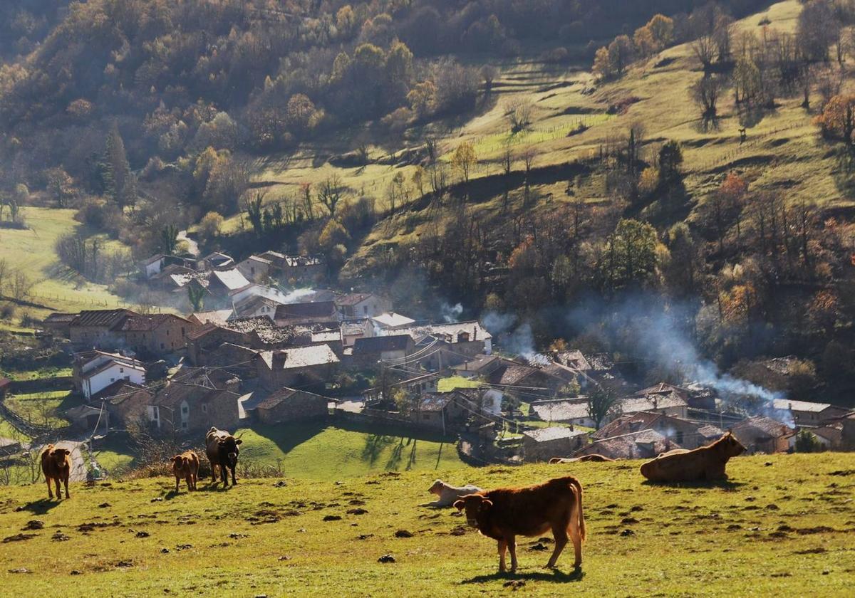 Cicera, en Peñarrubia, se alzó el año pasado con el premio Pueblo de Cantabria.