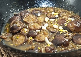 Las setas son un buen aperitivo o entrante.