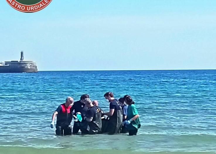 Imagen principal - Los bomberos rescatan a un delfín varado en Castro Urdiales