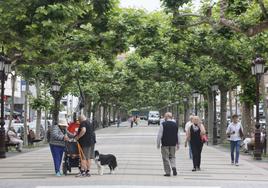 Vecinos caminan por la Avenida de España, una de las vías que, según Torrearboleda, revela la mala gestión de las zonas verdes.