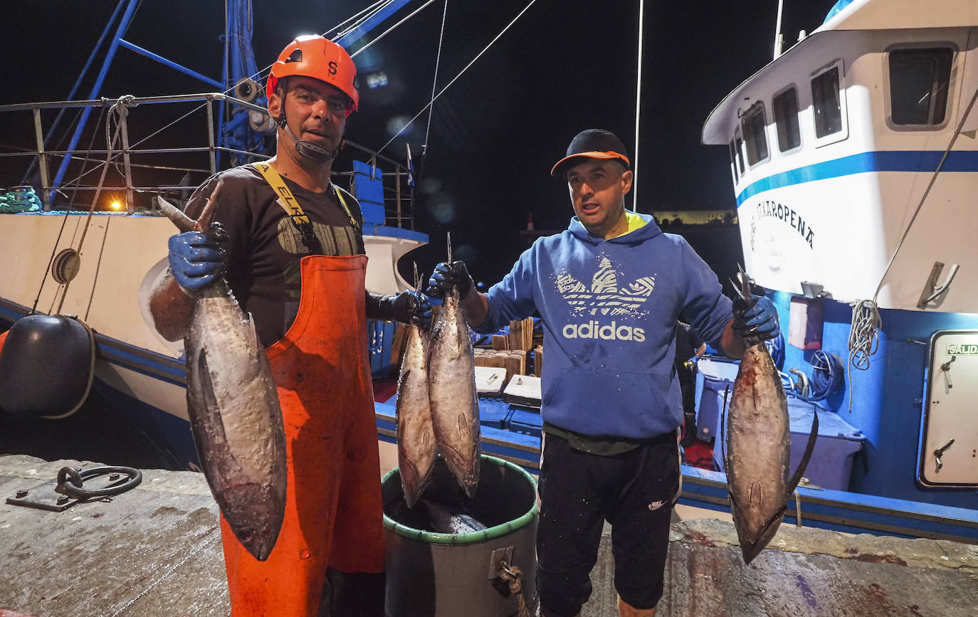 Los hombres del 'Gure Itxaropena 'muestran los ejemplares de mayor tamaña y los recortados que han tropezada en su primera marea de la temporada. 