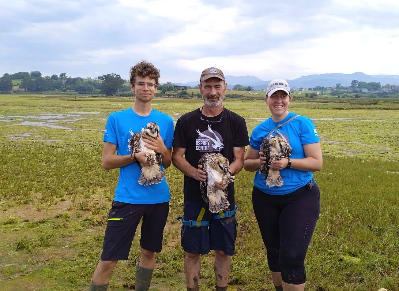 El anillador, Gonzalo Pardo, junto al coordinador del programa Carlos Sainz y la voluntaria del Osprey Centre Sarah Sagartxo posando con los tres pollos de águila pescadora tras el anillamiento. 