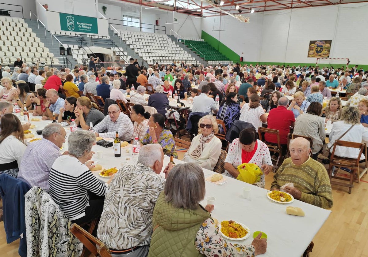 La comida por San Antonio volvió a reunir a centenares de comensales en el pabellón municipal Fernando Expósito de Renedo.