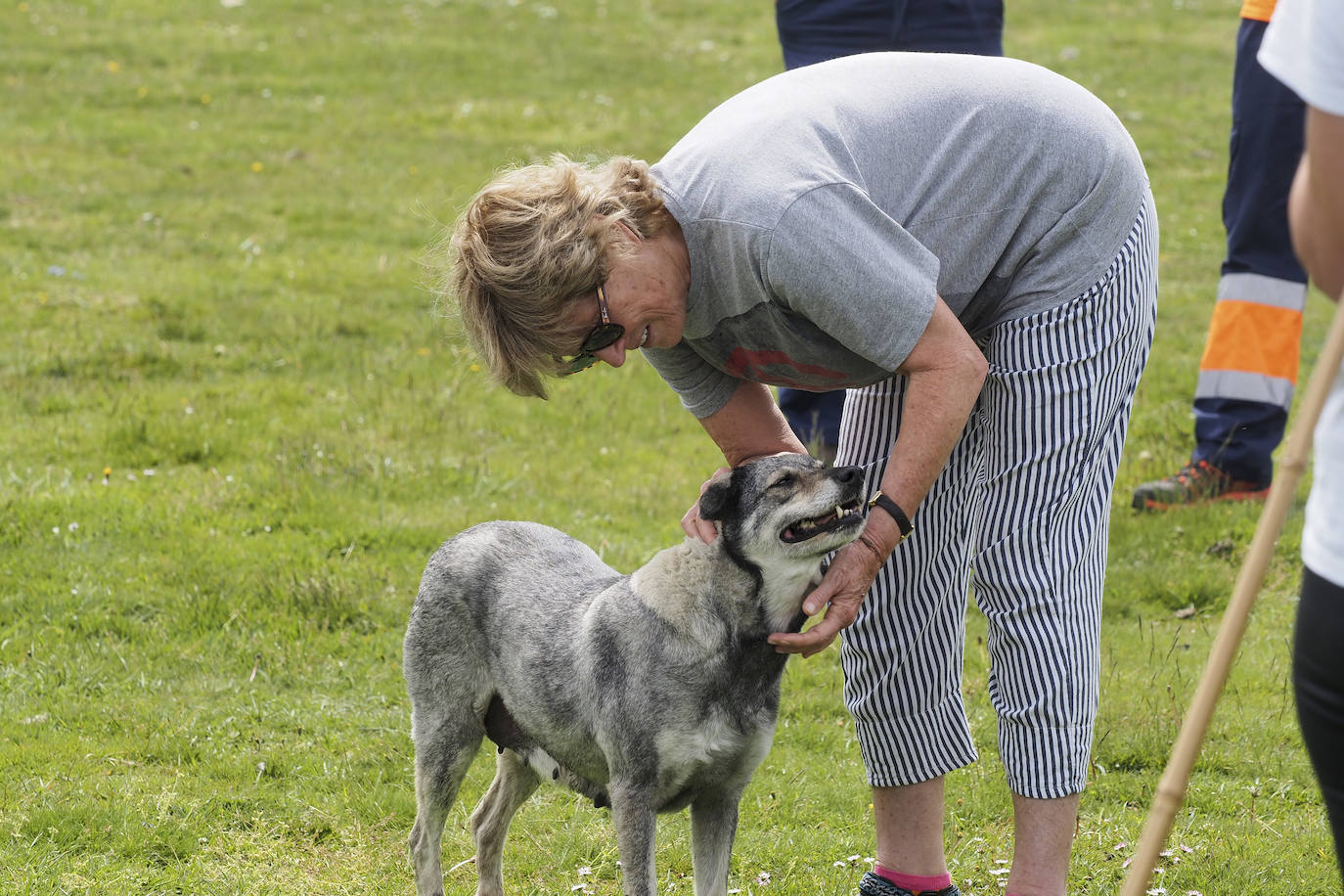 La periodista Mercedes Milá juega con un perro.