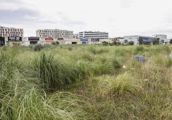 Terreno en el que se ubicaría la futura residencia, entre las calles Rosalía de Castro y Faustino Cavadas.