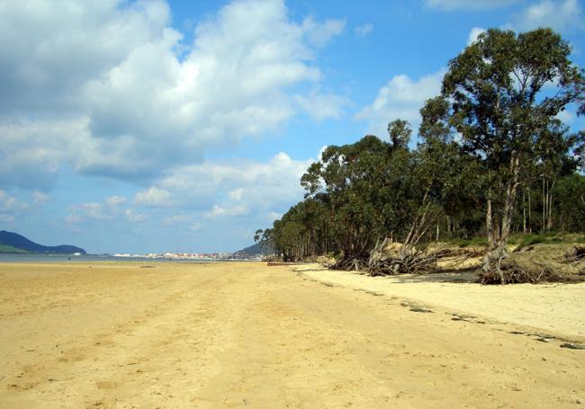 Playa El Regatón.