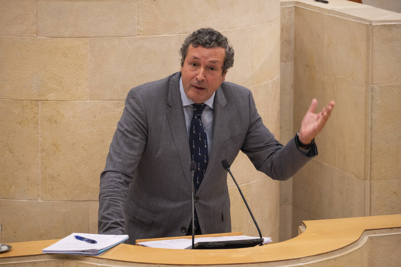 Íñigo Fernández, durante el último pleno de investidura.