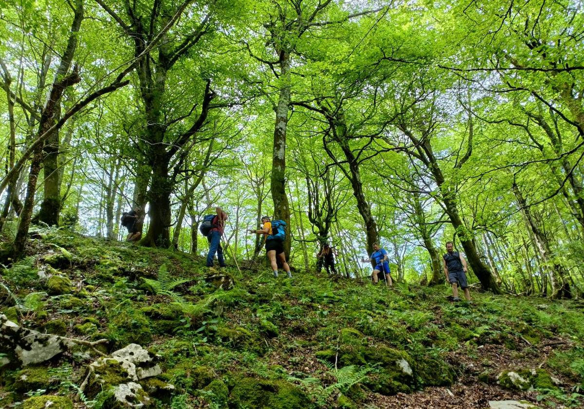 El grupo durante la ruta.