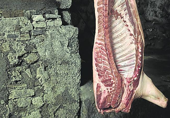 'El cataclismo nos alcanzará impávidos'. 2015 Fotografía a color.