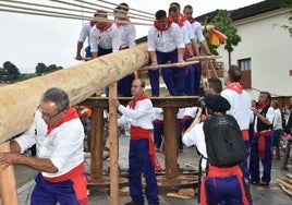 Silió revivió la tradición de poner en pie dos largos troncos de roble de más de 30 metros de largo.