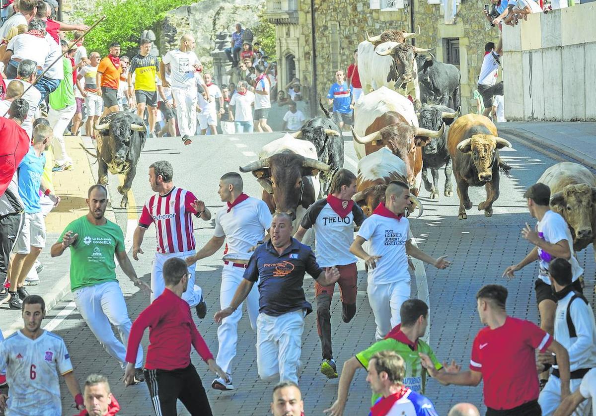 Los encierros de Ampuero volverán a concitar la atención de miles de visitante durante el mes de septiembre.