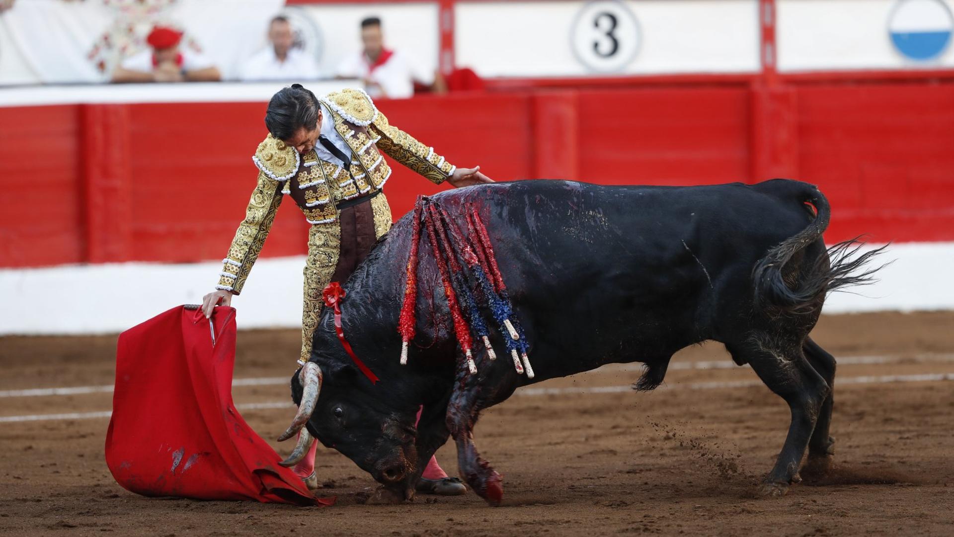 Cuando el toro pasa a un segundo plano | El Diario Montañés