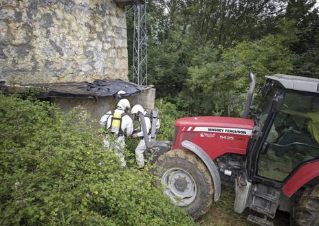 Imagen secundaria 1 - Hallan 25 vacas muertas en San Roque de Riomiera