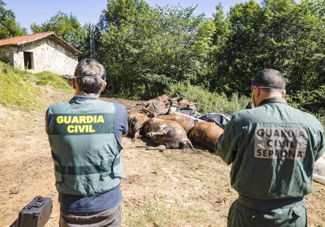 Continúa la investigación para esclarecer lo sucedido