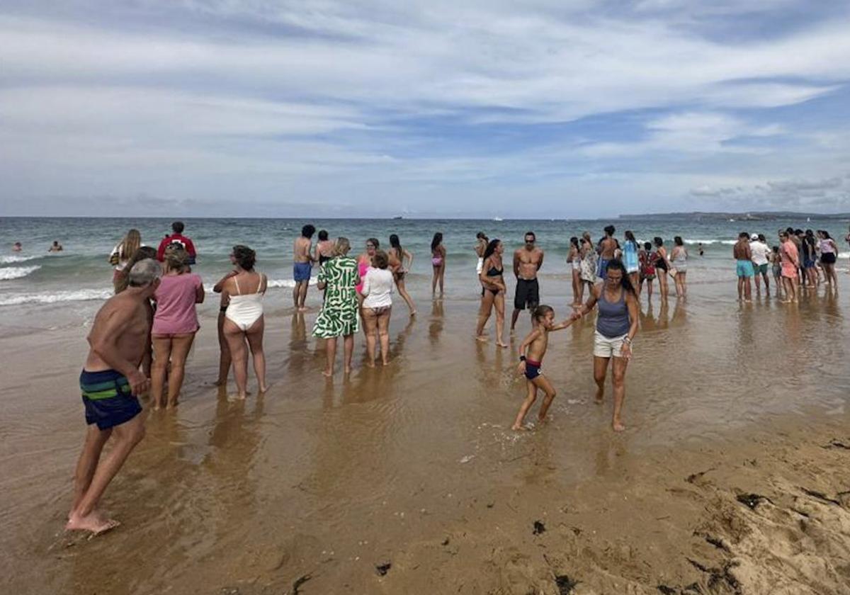 El equipo de socorrismo de la Primera Playa de El Sardinero saca a la gente del agua por alerta de una carabela portuguesa.