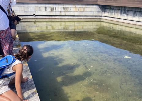 Imagen secundaria 1 - Fotos de dos momentos de la última actividad en la que los participantes conocieron el ciclo de vida de las libélulas y los caballitos del diablo que viven en el propio Parque de Las Llamas.