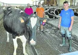 Esta ganadería de Oruña de Piélagos, dirigida por José Ángel Pereda, es un buen ejemplo de un sector de producción láctea que lucha por sobrevivir, ser rentable y sostenible.