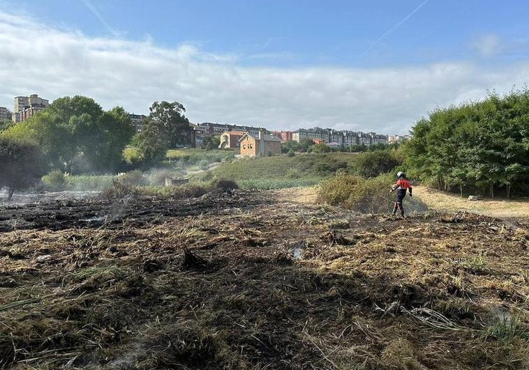 Los bomberos trabajan en la zona con el fuego ya extinguido para evitar nuevos focos.