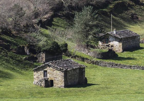 Tres cabañas pasiegas, una de ellas semiderruida, en el municipio de Vega de Pas.