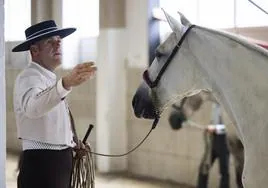 Un ganadero prepara a su caballo para salir a la pista.