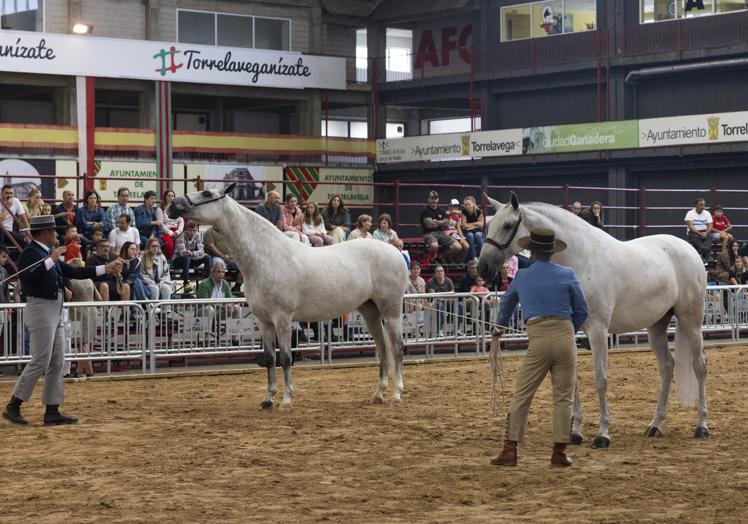 Imagen principal - Explosivo de Centurión conquista el Ferial