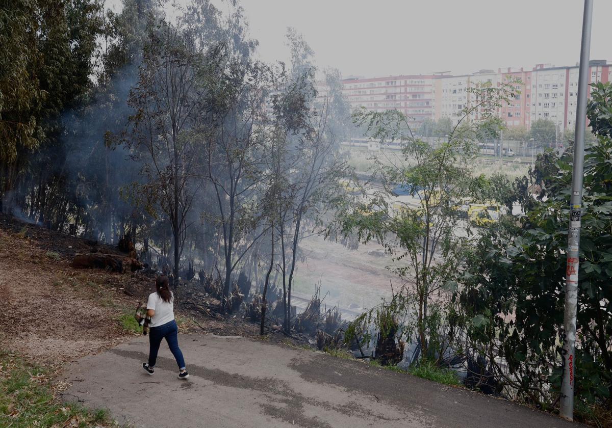 Incendio de vegetación en el Parque del Agua