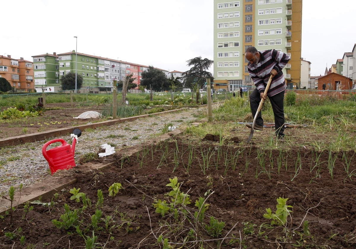 Un hombre trabaja en la finca de huertos urbanos de Mies de Vega.