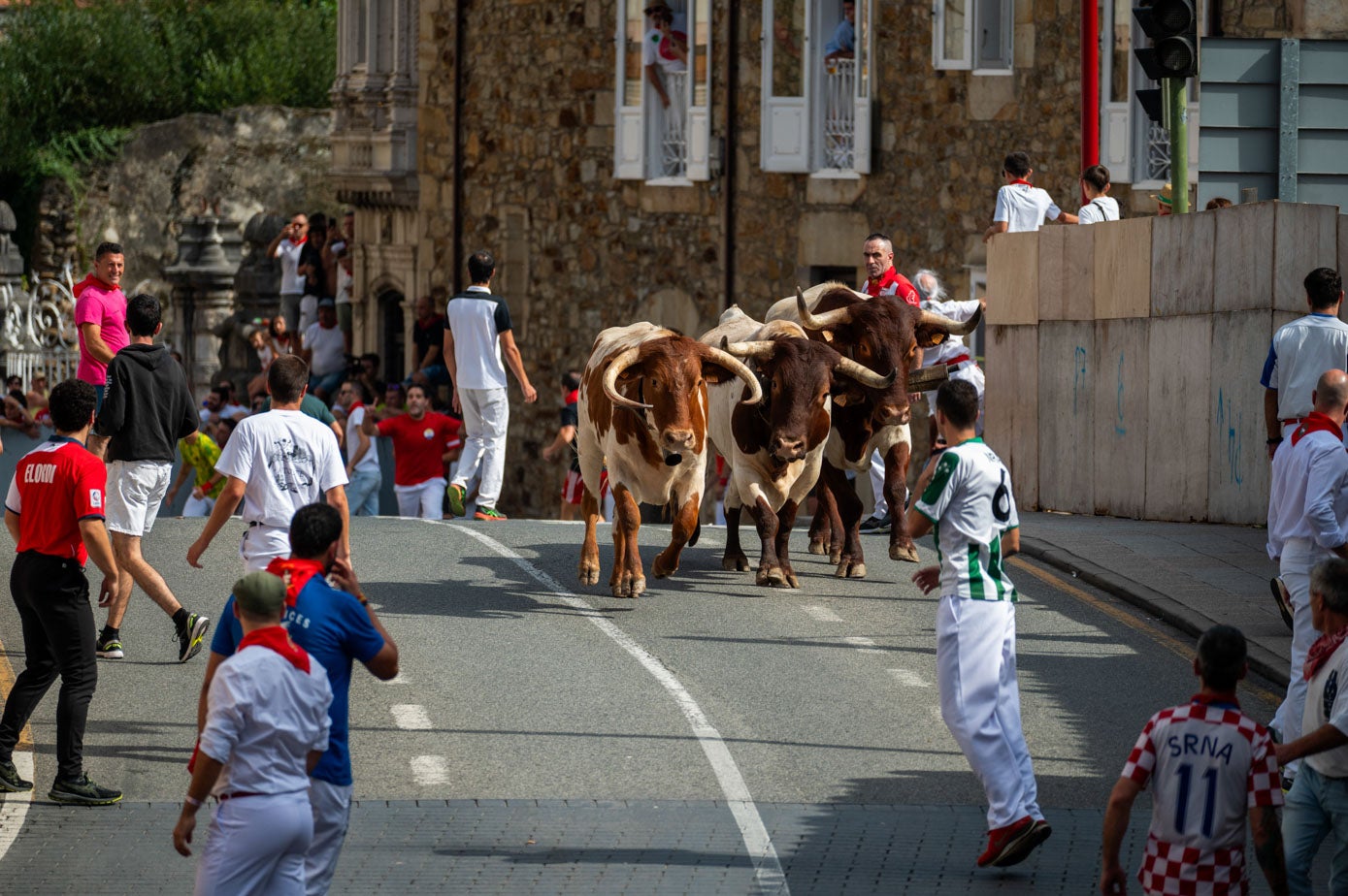 A las doce en punto del mediodía salieron los seis animales de Barcial, que han realizado dos carreras en solitario, sin bueyes y en las que han recorrido el asfalto a una velocidad lenta y sostenida.