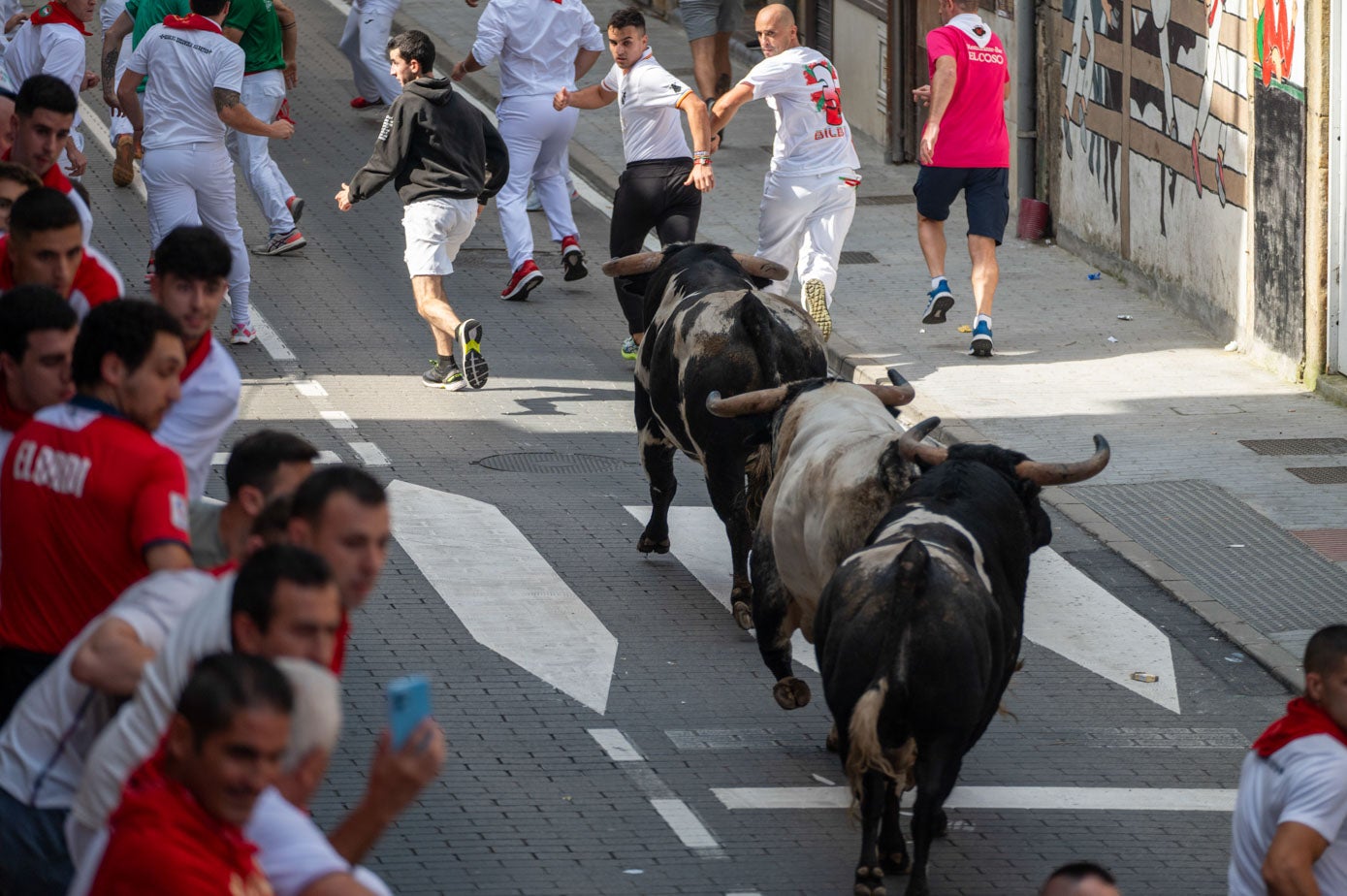 Los toros han corrido juntos, en manada, y a una velocidad que ha permitido incluso carreras más ajustadas.