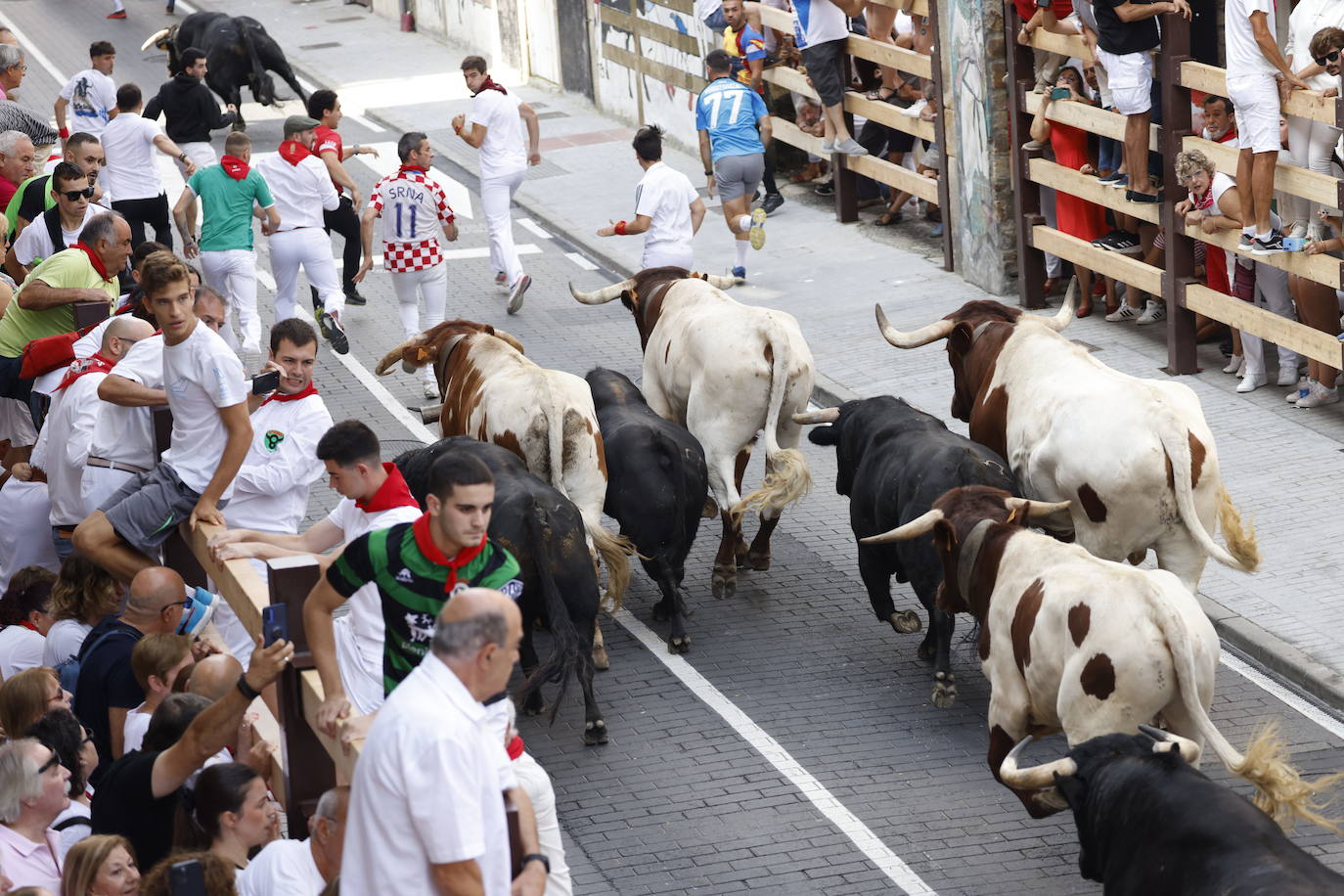 La res realizó la carrera de ida en solitario hasta llegar a La Pinta por delante del resto y propiciar algunas de las carreras más picantes de las fiestas