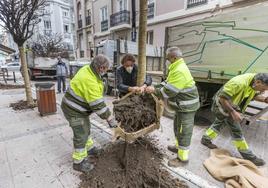 El PSOE exige dimisiones en el Ayuntamiento de Santander por la condena de Jardines