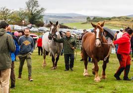 Los caballos son los protagonistas de la jornada festiva.