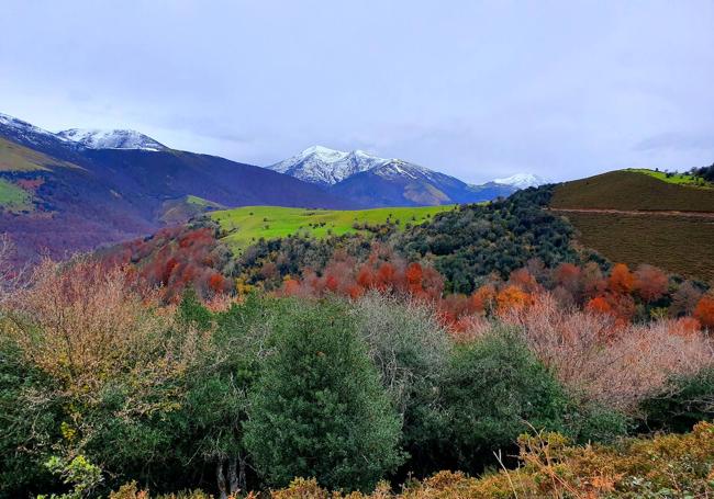 La estampa recoge una paleta de colores otoñales y el blanco, de fondo, en las cumbres.