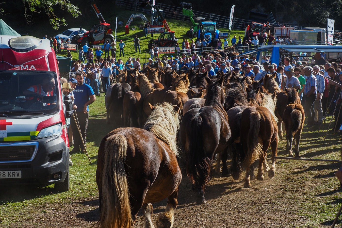 1.400 cabezas de ganado vacuno, caballar, lanar y caprino participaron en la feria