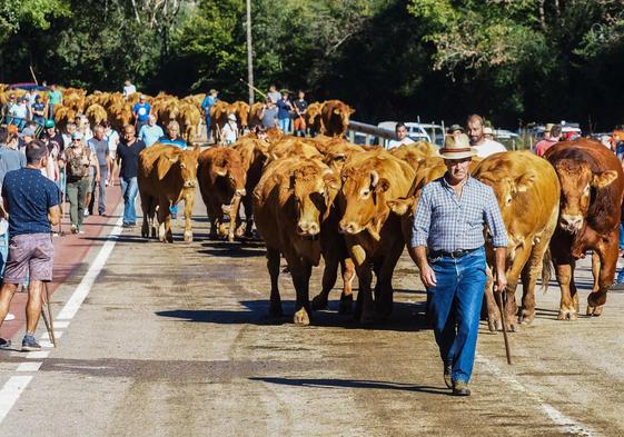 La Feria de San Miguel volvió a unir a todo el Valle del Nansa