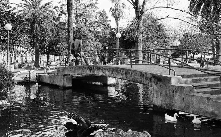 Imagen - 'Jardines de Pereda', 1984.