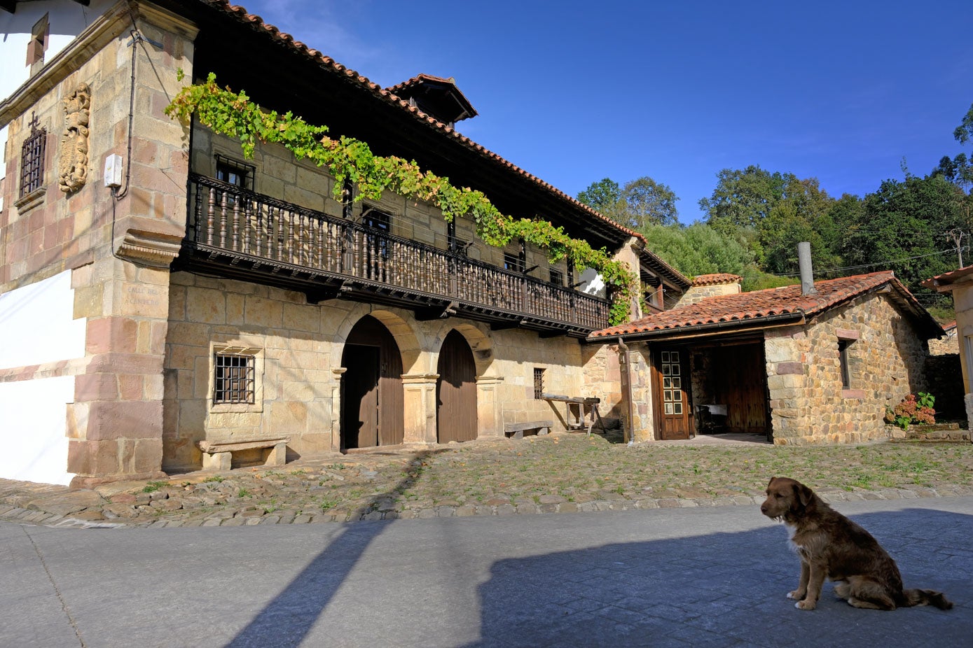 En esta localidad puede verse la arquitectura rural tradicional de Cantabria. Casas de piedra exhiben la tipología clásica de fachada con una solana entre dos muros cortafuegos o hastiales de piedra. 