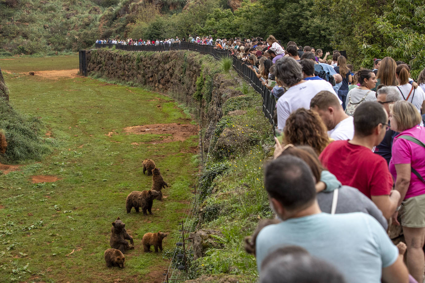 El recinto de los osos, otra de las zonas más concurridas durante la jornada.