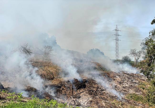 La quema de rastrojos en el monte Las Pilas