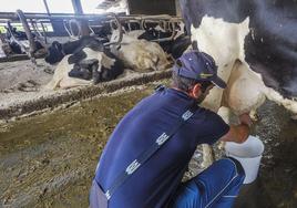 El sector lácteo de Cantabria observa con preocupación el cambio de tendencia en los precios de la venta en origen.